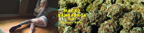 индика Армянск