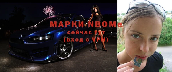 индика Армянск