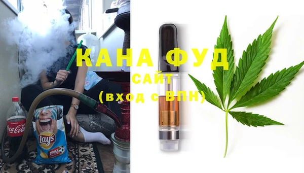 индика Армянск
