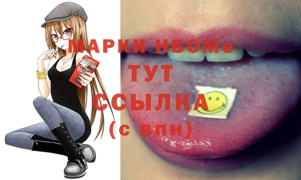 индика Армянск