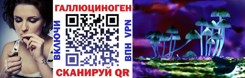 Галлюциногенные грибы Psilocybine cubensis  Вятские Поляны 